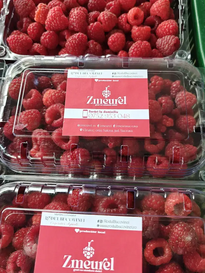 Mai multe caserole cu zmeură pregătite pentru clienți